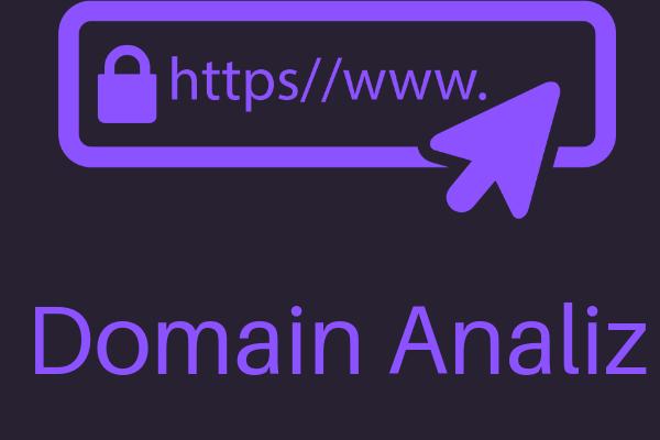 Domain Analiz